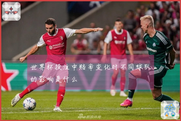 世界杯投注中赔率变化对不同球队的影响是什么