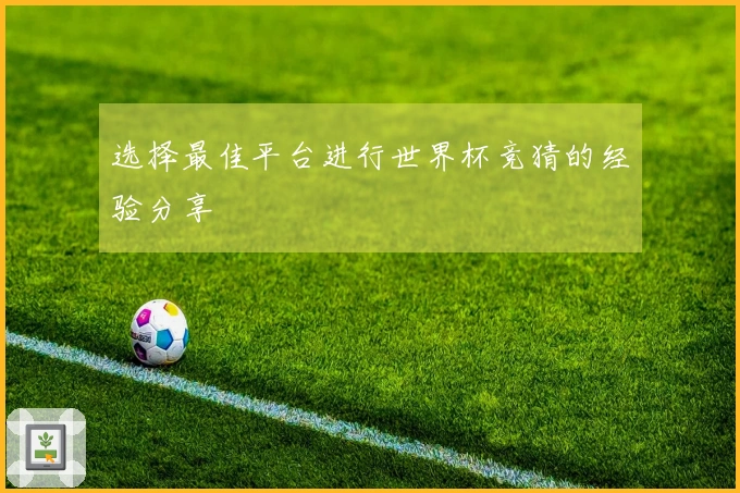 选择最佳平台进行世界杯竞猜的经验分享
