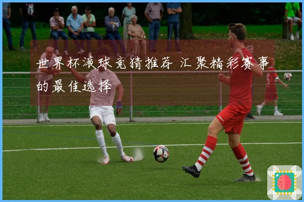 世界杯滚球竞猜推荐 汇聚精彩赛事的最佳选择