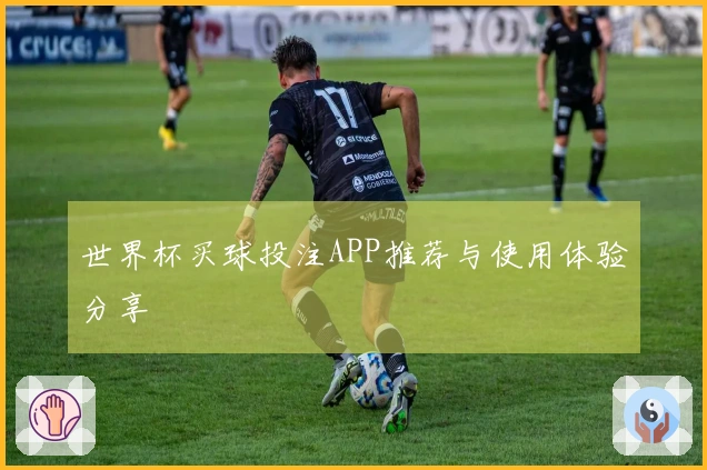 世界杯买球投注APP推荐与使用体验分享