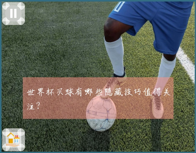 世界杯买球有哪些隐藏技巧值得关注？