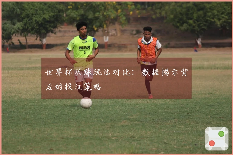 世界杯买球玩法对比：数据揭示背后的投注策略