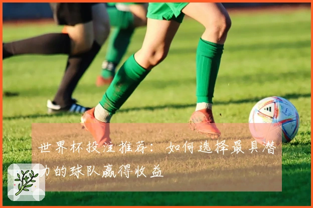 世界杯投注推荐：如何选择最具潜力的球队赢得收益